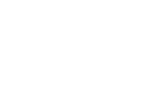 Laurel Auto Group See-through Logo