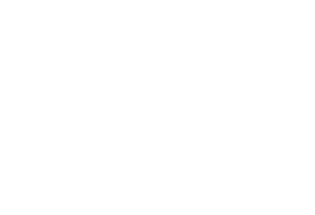 Mihalko's See through logo